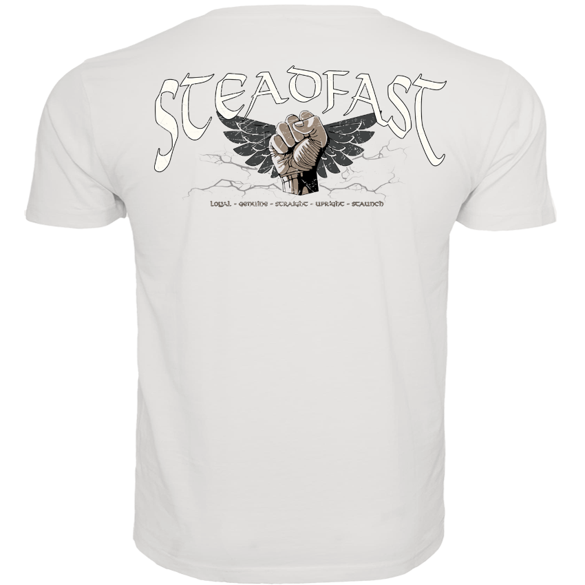 T-Shirt ( Steadfast SF6 „The Day will Come“ )