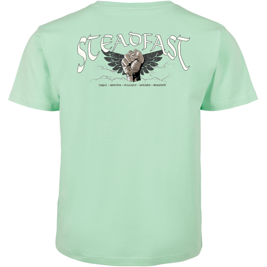 T-Shirt ( Steadfast SF5 „The End is near “ )