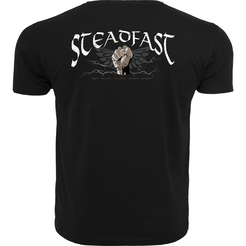 T-Shirt ( Steadfast SF6 „The Day will Come“ )